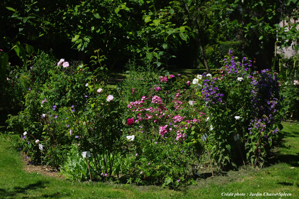 Jardin Roseraie Chasse-Spleen