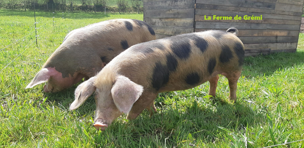 La Ferme de Grémi