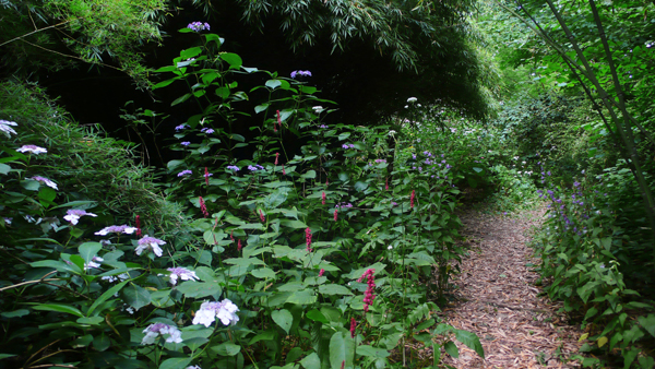 Jardin d'art et d'essais