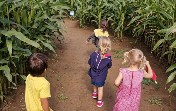 Labyrinthe de Coutances