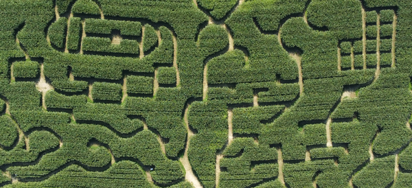 Labyrinthe de Honfleur