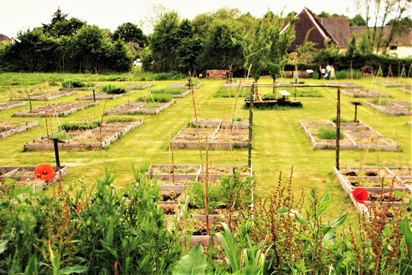 Le Potager de Beaumesnil