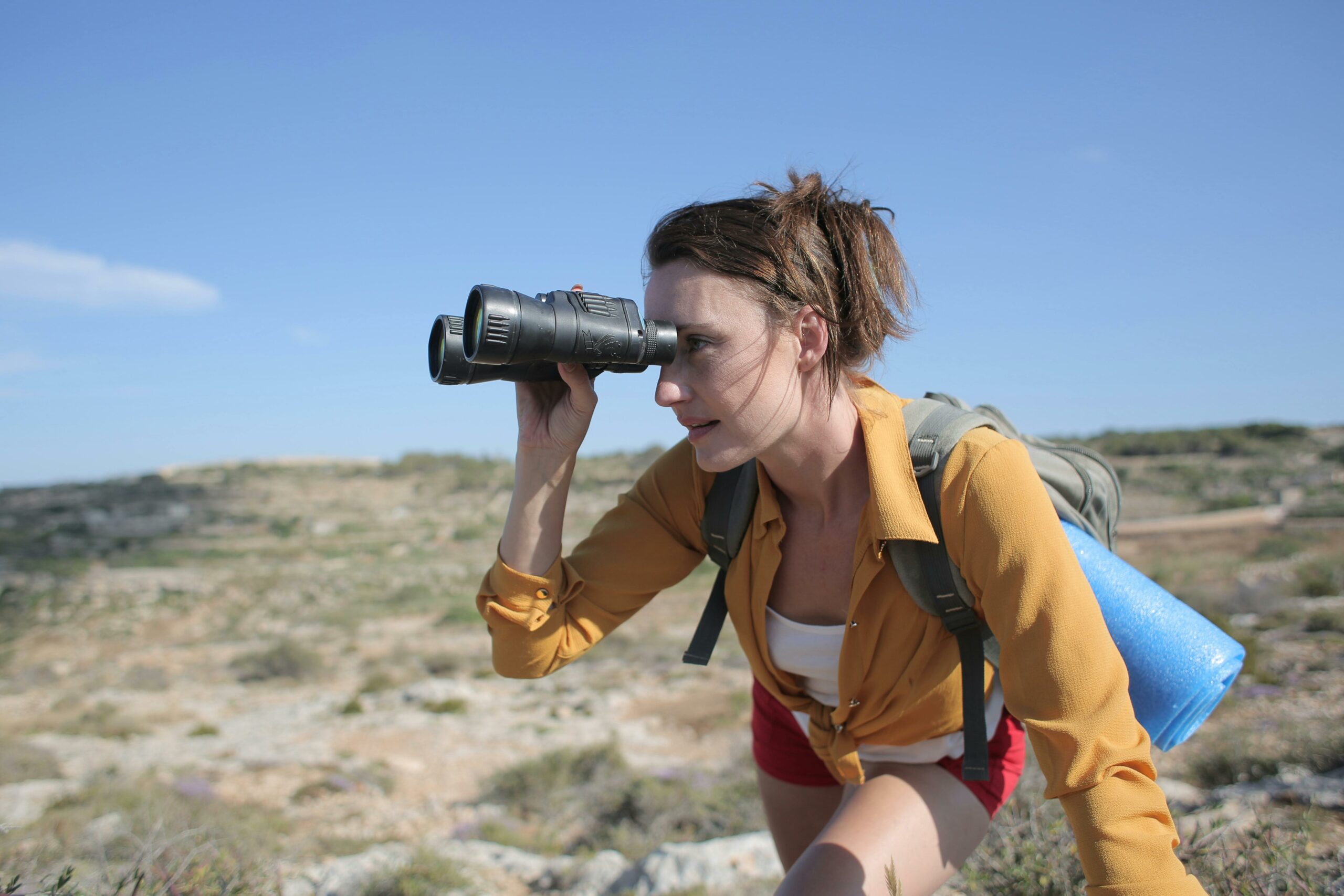 Observation activité touristique